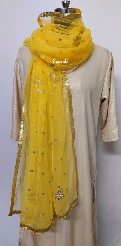 Net Fancy Dupatta