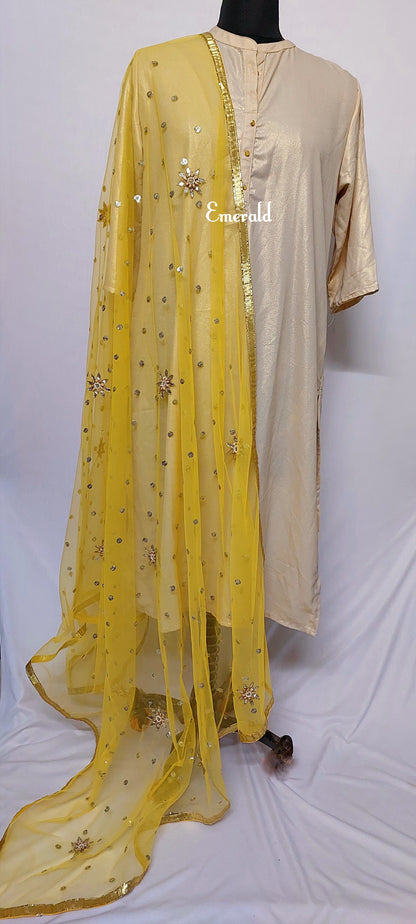 Net Fancy Dupatta