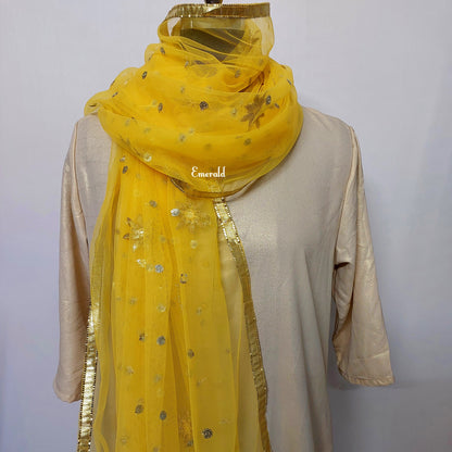 Net Fancy Dupatta