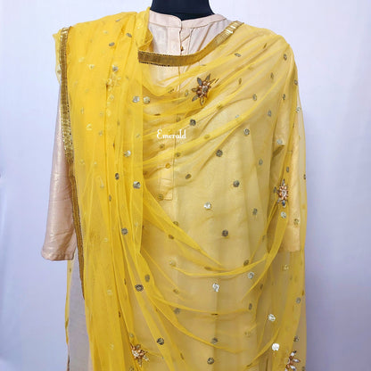 Net Fancy Dupatta