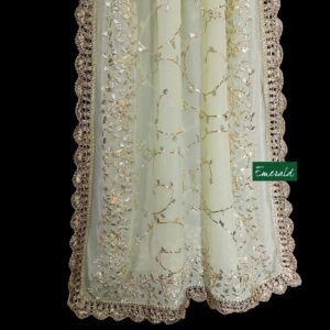 Fancy Georgette Dupatta