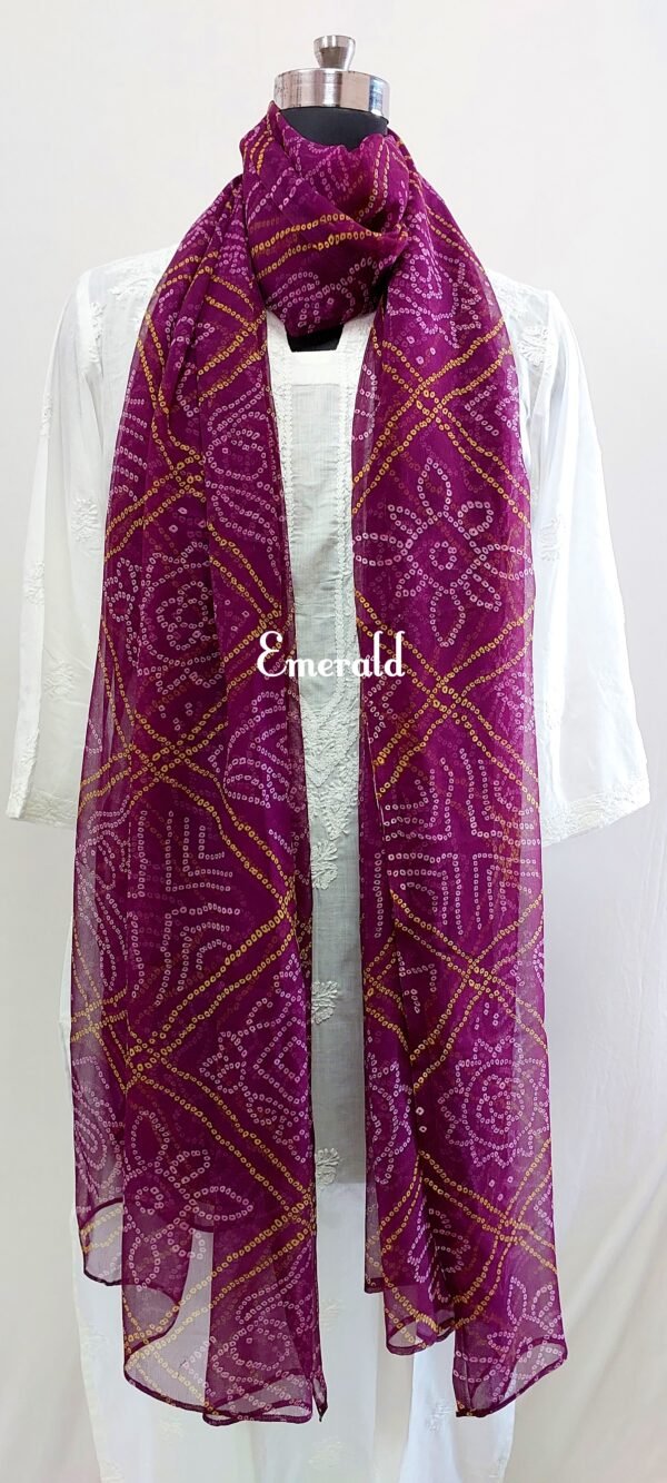 Bandhani Dupatta - Image 5